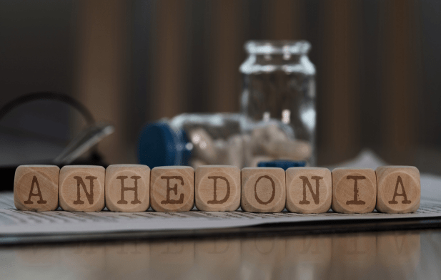 Kuptimi i anhedonias